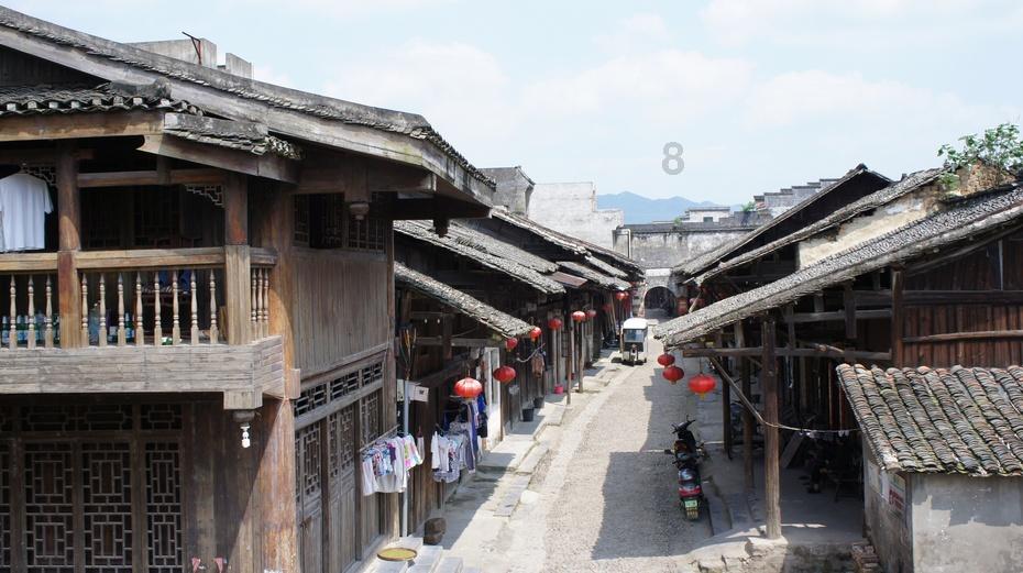 逃离橡子树种植地
